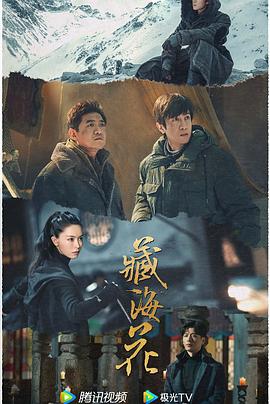 青青草绿色视频在线观看 - 小鸡视频